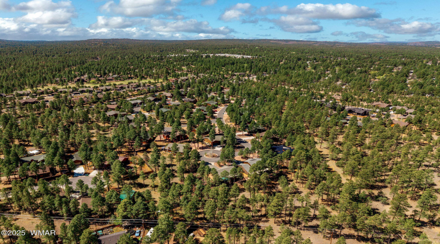 1160NNeedlesCreekDr-ShowLow-AZ-42