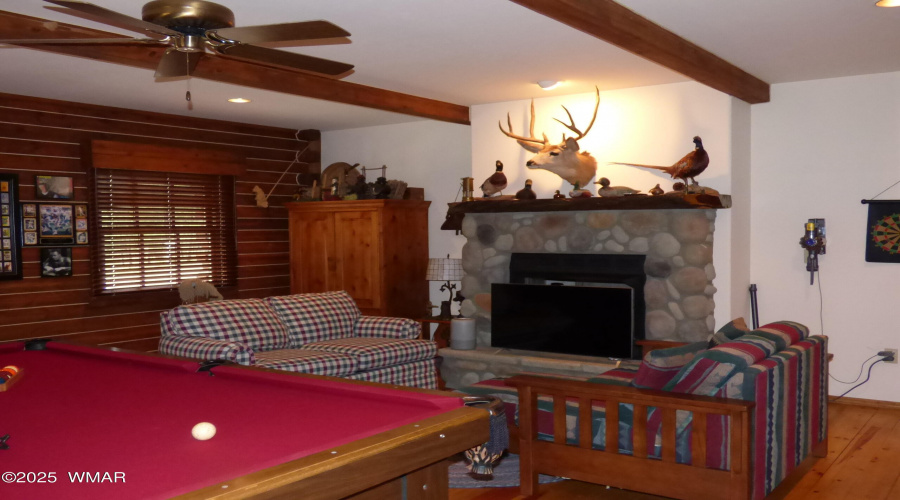 Game Room (2)
