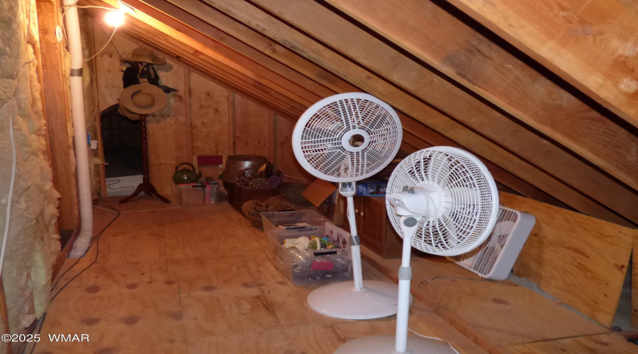 Attic Storage
