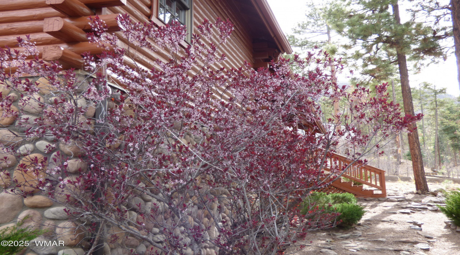 Exterior (7)