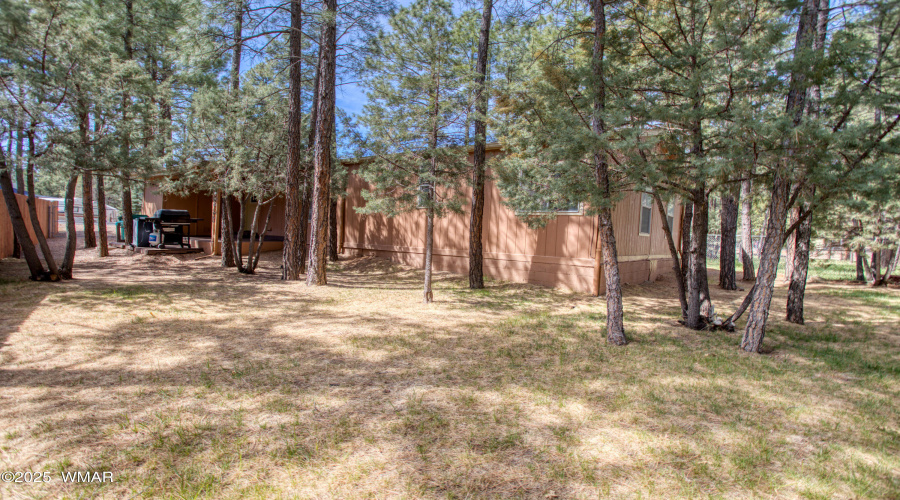 Paxmanphoto_PAX_0644