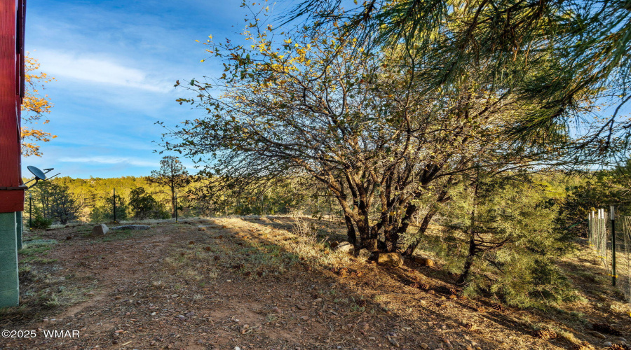2901RidgeCircle-Heber-AZ-24