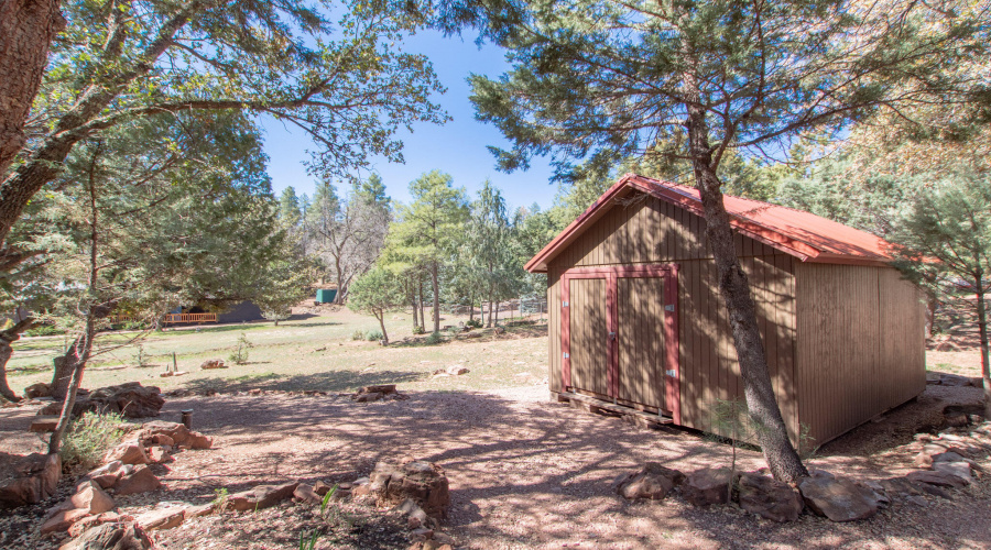 Roomy work Shed