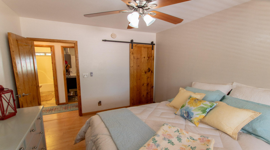 Downstairs Bedroom