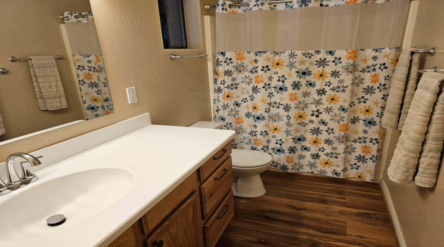 Full Guest Bath