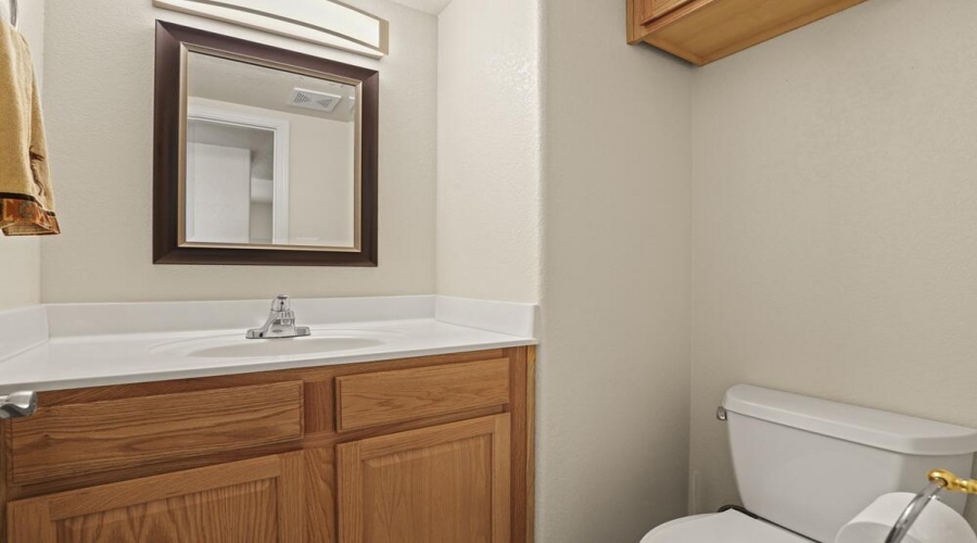 Guest Bathroom 2