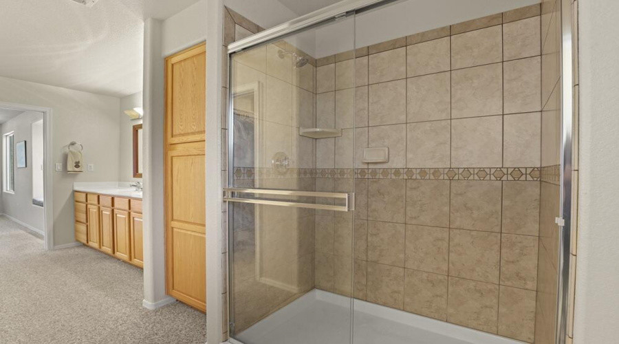 Master Bathroom Shower