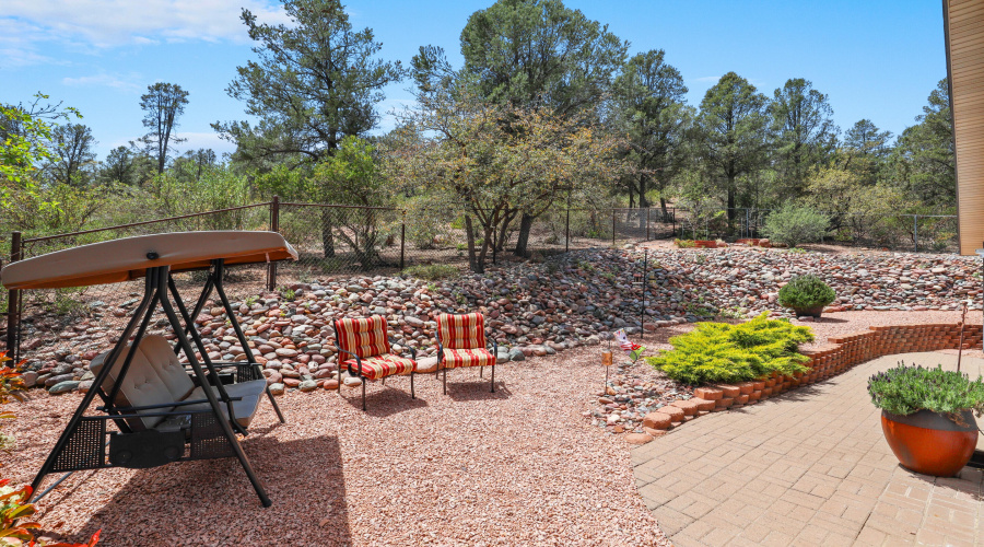 Back Yard (1)