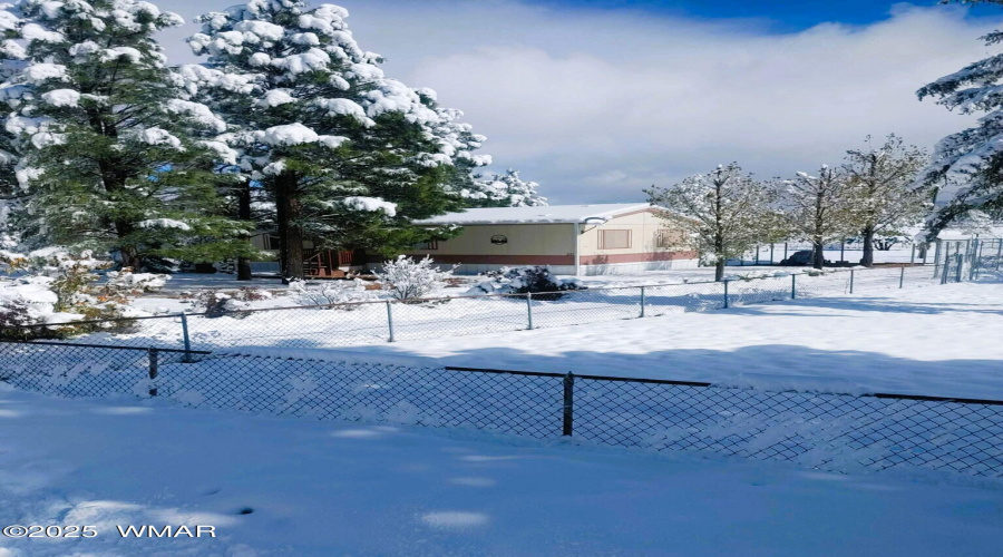 29 Snowy View