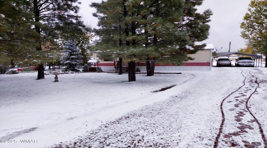 Winter View