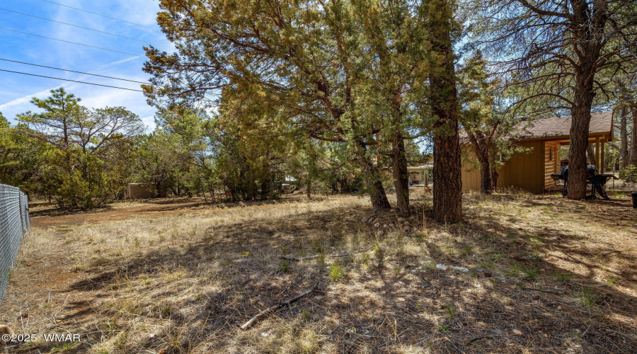 2979WesternStarDr-Heber-AZ-18