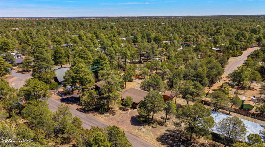 2979WesternStarDr-Heber-AZ-28