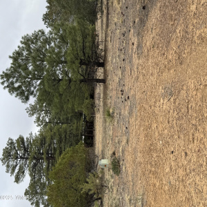 Front of the property