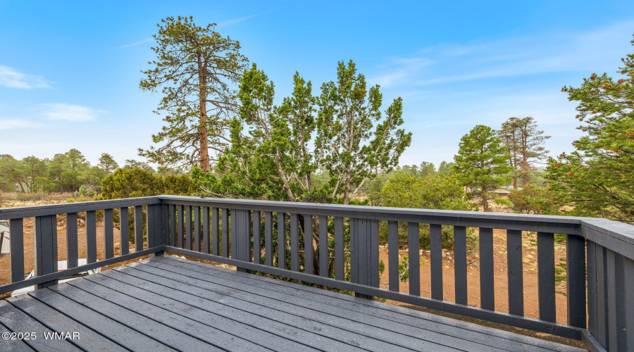 2845MustangTrail-Overgaard-AZ-20