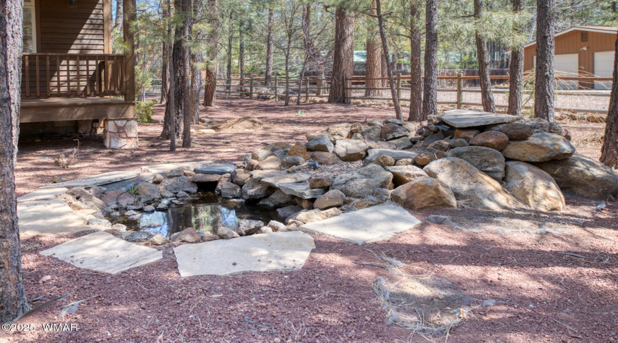 Pond/Fountain