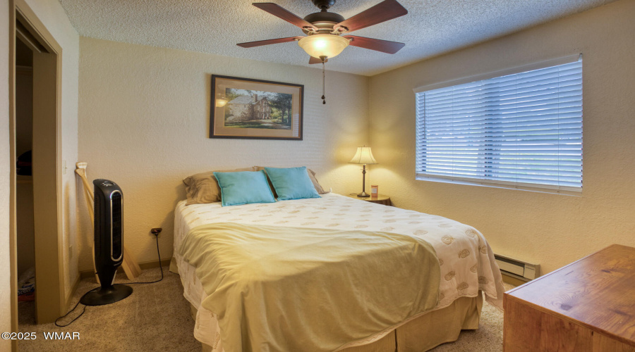 paxmanphoto_PAX_2364