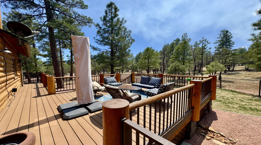 Back deck