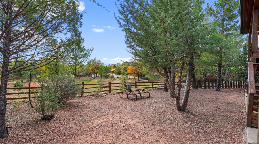 Backyard 1E0A3590