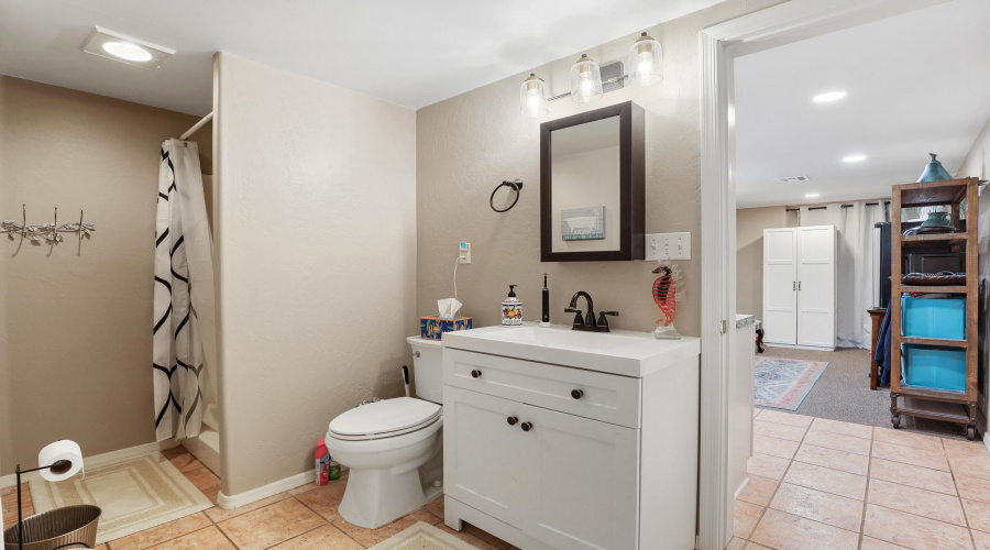Lower level bathroom 1E0A3628