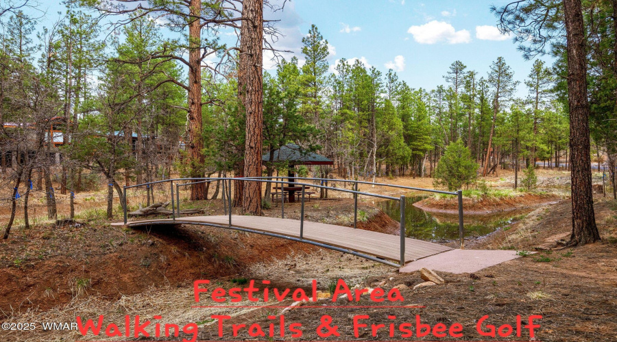 TheVillageShowLow-BridgetWood-45