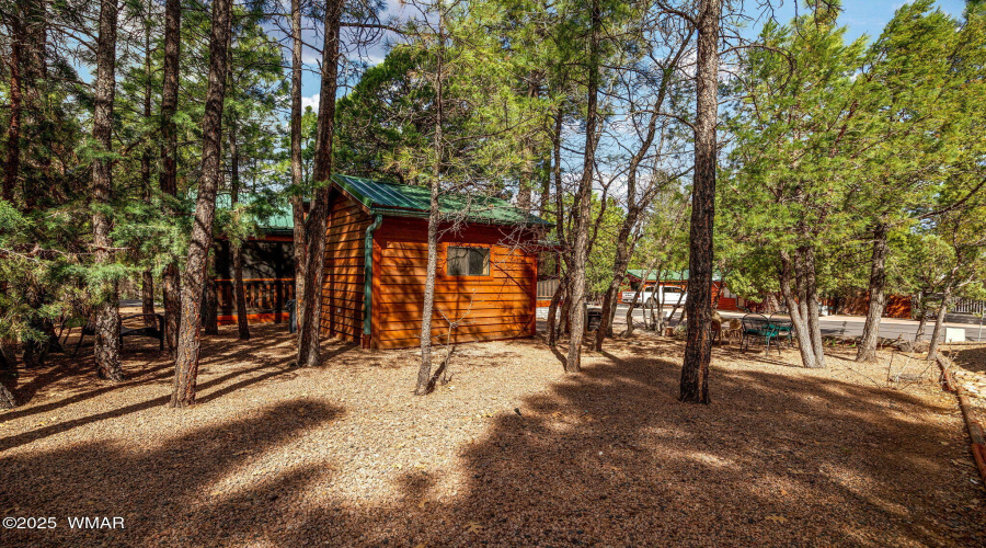 2161ElizabethAve-ShowLow-AZ-21