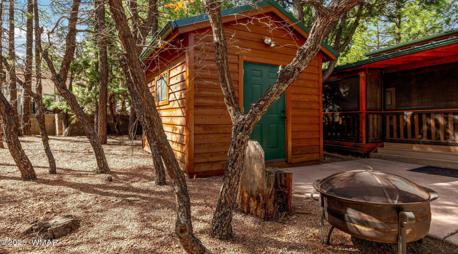 2161ElizabethAve-ShowLow-AZ-19