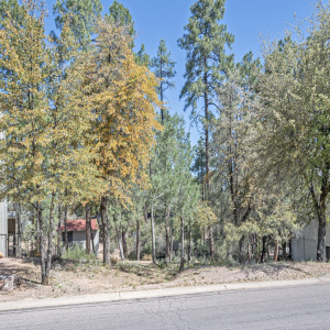 As seen from the street