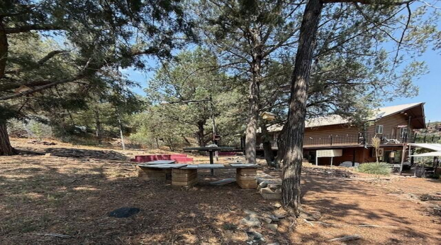 backyard2