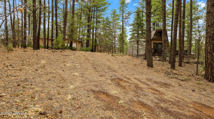 2856KingFisherDr-ShowLow-AZ-28