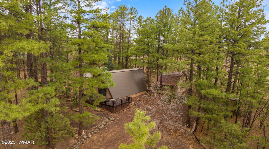 2856KingFisherDr-ShowLow-AZ-29