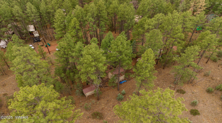 2856KingFisherDr-ShowLow-AZ-30