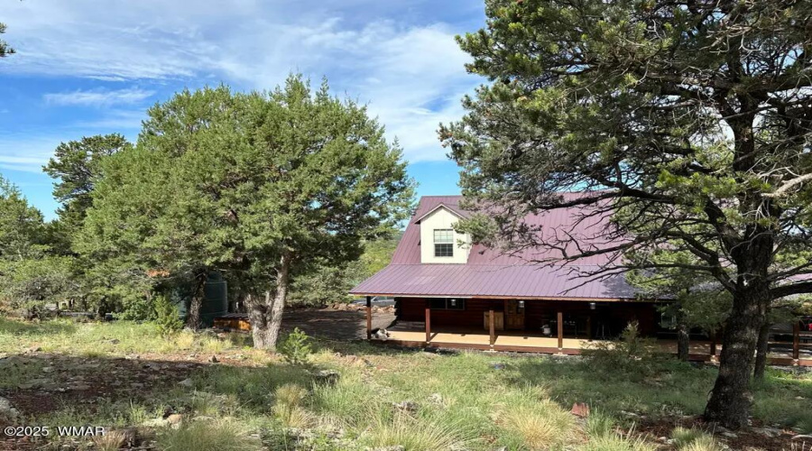 PROPERTY - Back of house