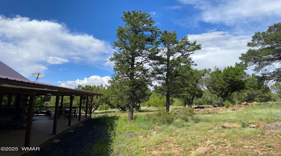 PROPERTY - View of back deck