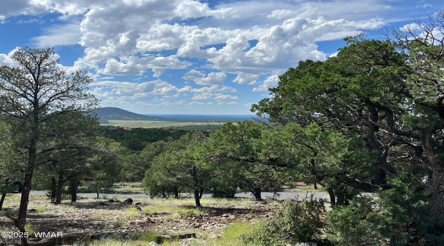 PROPERTY - View