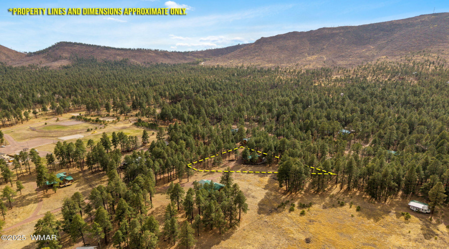 1N2312-AlpineAZ-41