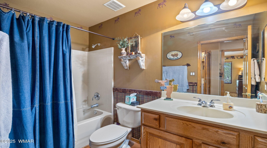 2664PalominoTrail-Overgaard-AZ-16
