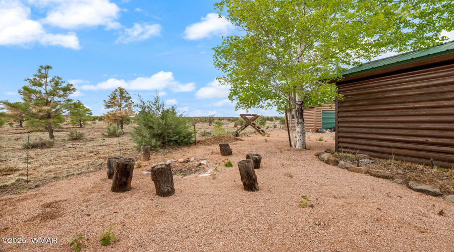 2664PalominoTrail-Overgaard-AZ-23