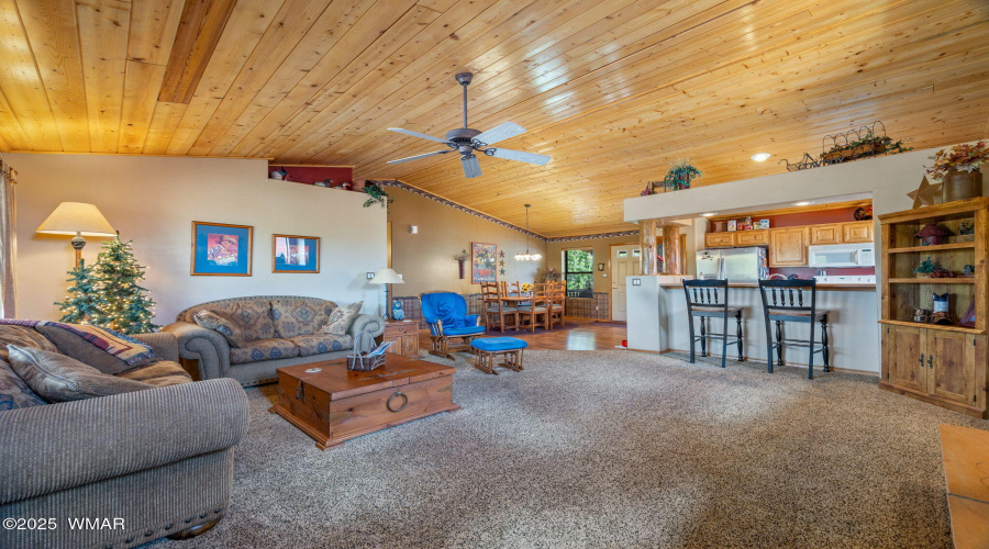 2664PalominoTrail-Overgaard-AZ-6