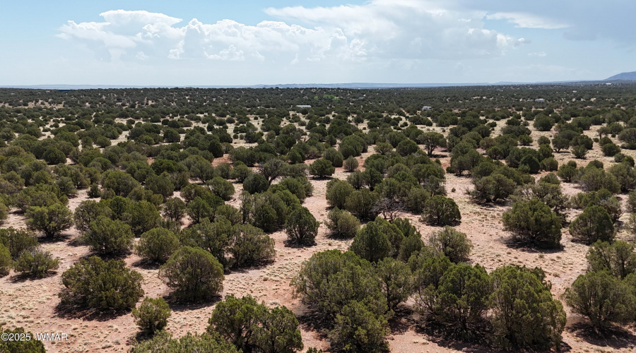 DJI_20250503100227_0027_D