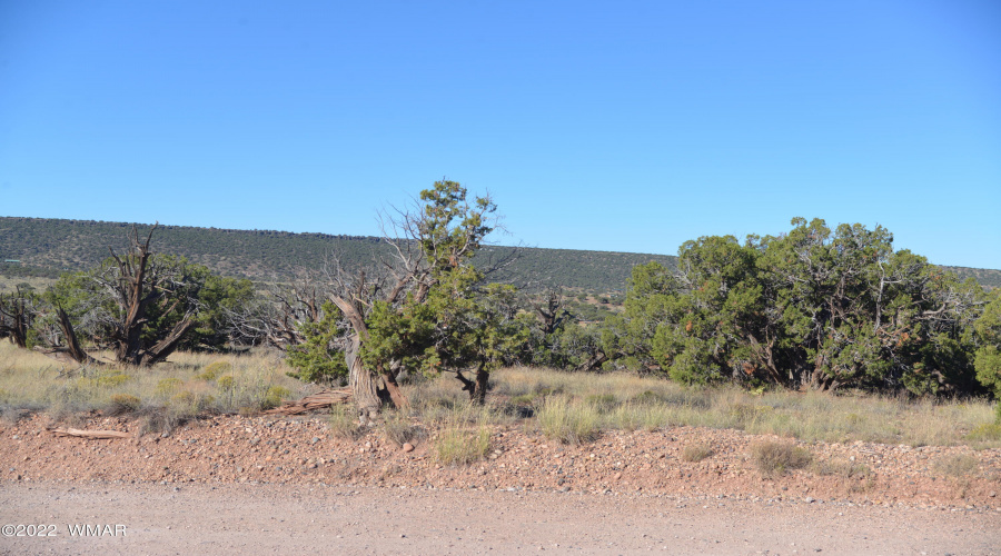 Ranch of the Golden Horse 001