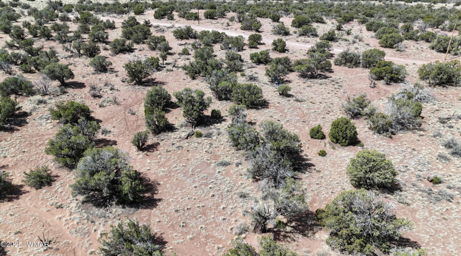DJI_20250503102242_0033_D