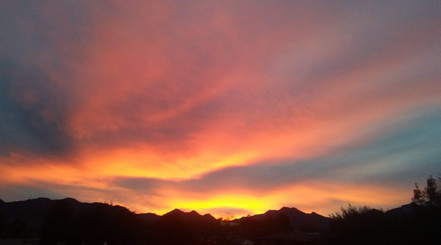 20181204_172648_Burst01