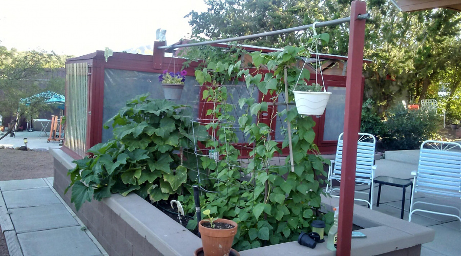 20190617_175545_HDR