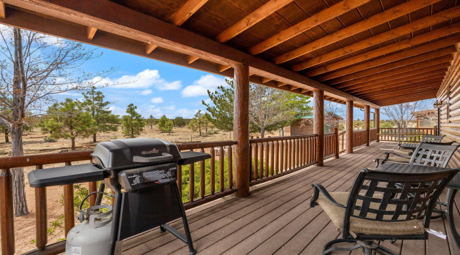 2664PalominoTrail-Overgaard-AZ-19