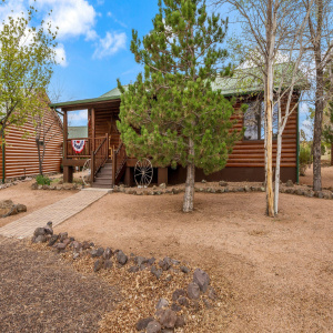2664PalominoTrail-Overgaard-AZ-1
