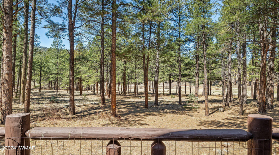 9CRN1129-Greer-AZ-23