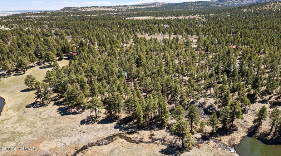 9CRN1129-Greer-AZ-29