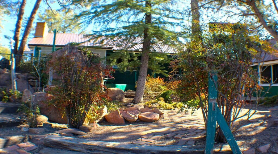 BACK YARD