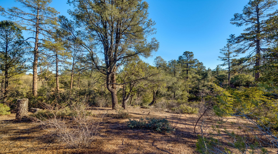 203SRimClubRd-Payson-AZ-11