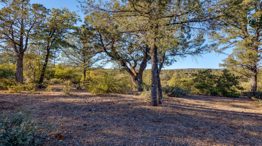 203SRimClubRd-Payson-AZ-12
